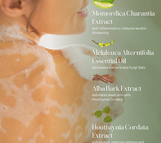 ABERA Folliculitis, BHA Shower Gel, High-Performance Folliculitis Body Wash, Wild Bitter Melon Extract