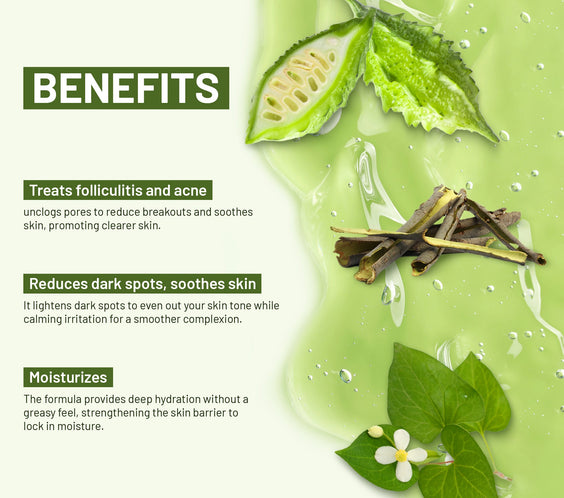 ABERA Folliculitis, BHA Shower Gel, High-Performance Folliculitis Body Wash, Wild Bitter Melon Extract